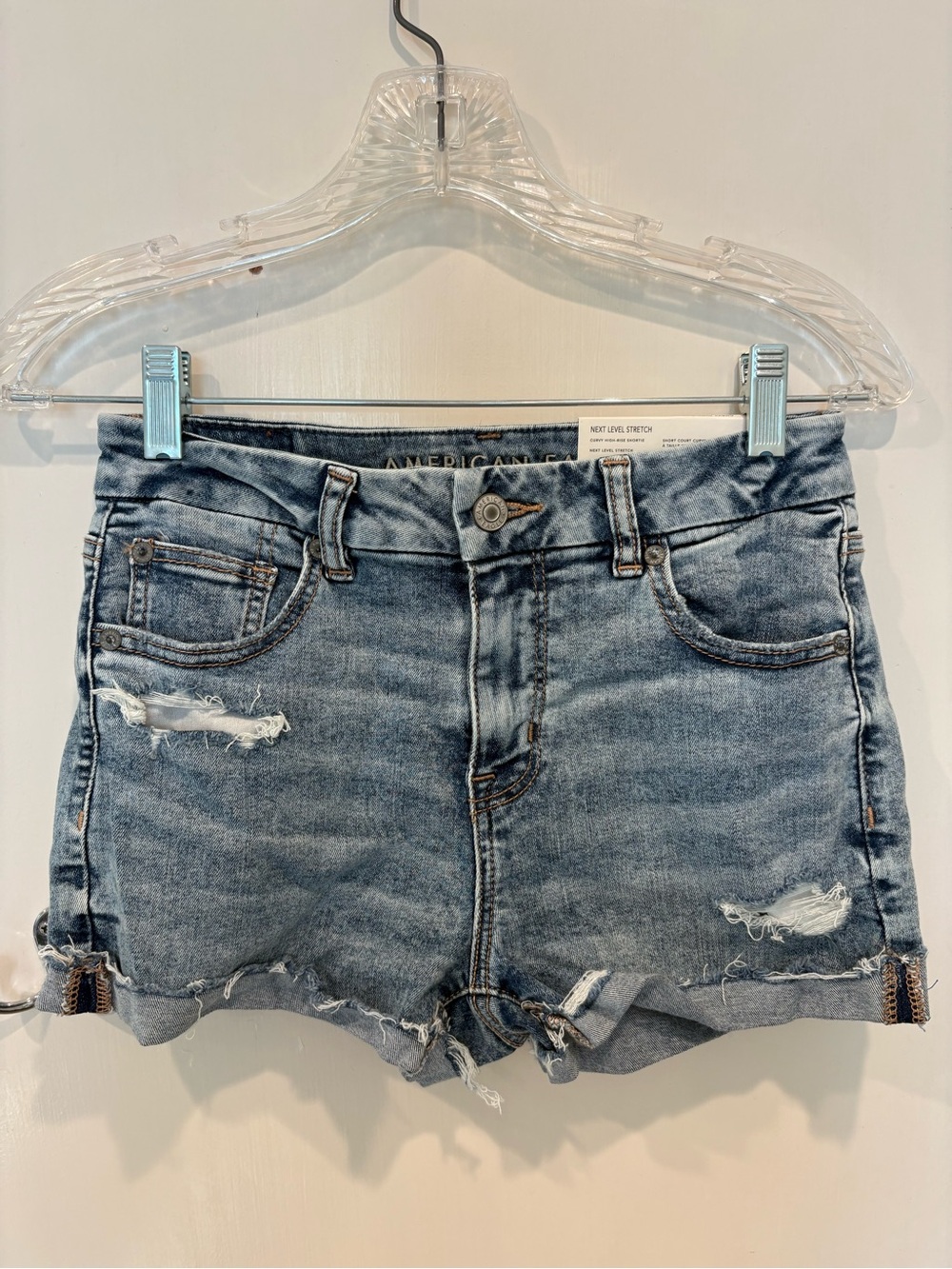 American Eagle Outfitters Light Blue Distressed Denim Shorts